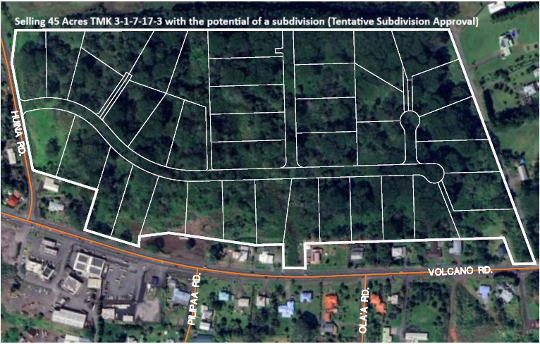 10 Volcano Road Keaau, HI 96749 - Photo 2 of 18