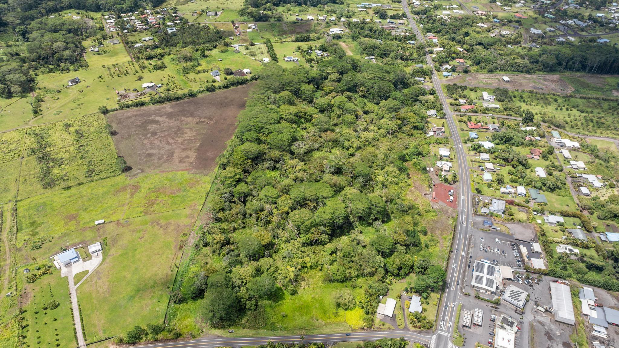 10 Volcano Road Keaau, HI 96749 - Photo 5 of 18