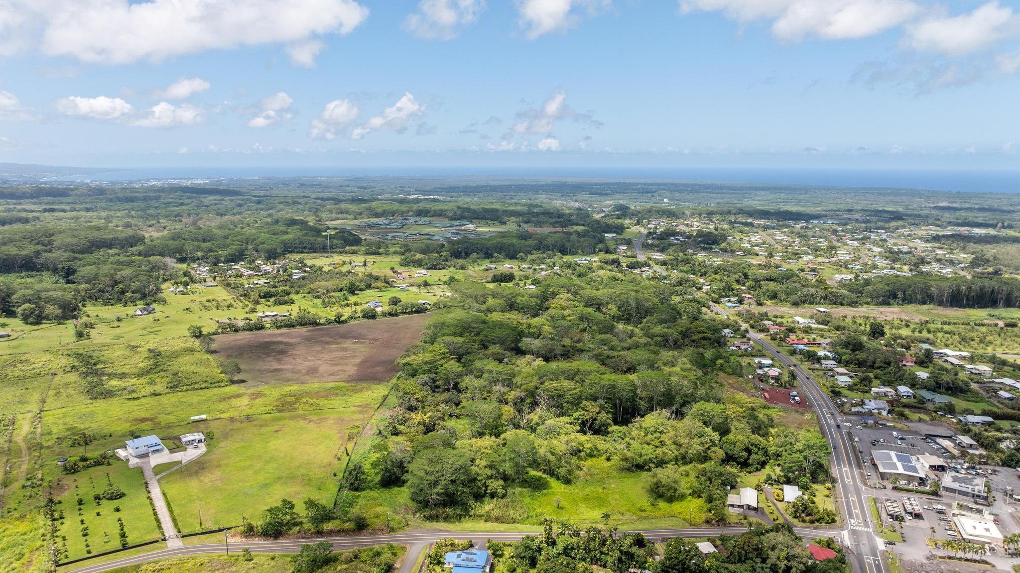10 Volcano Road Keaau, HI 96749 - Photo 9 of 18