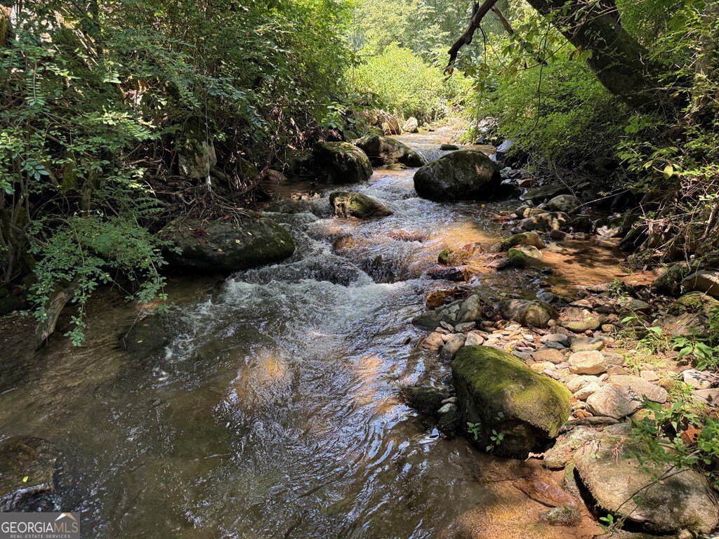 43 Wild Horse Road Sylva, NC 28779 - Photo 11 of 28 a view of a street with some trees