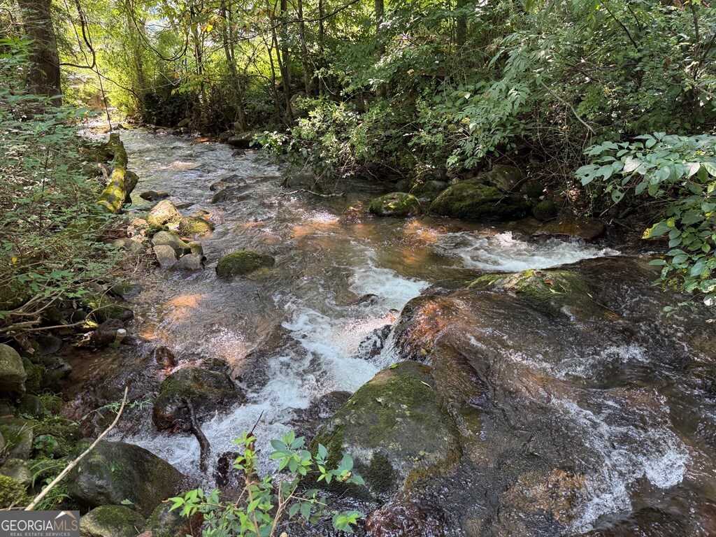43 Wild Horse Road Sylva, NC 28779 - Photo 10 of 28 a view of a forest with trees