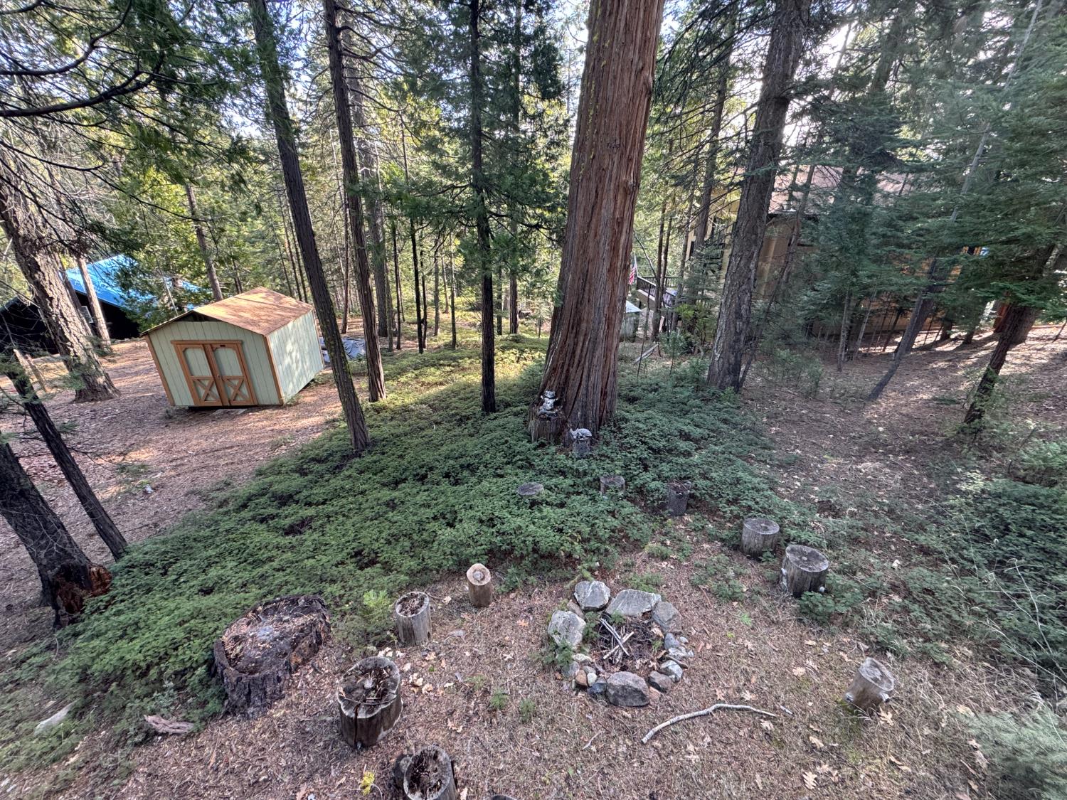 25271 Rebekah Road Long Barn, CA 95335 - Photo 13 of 19