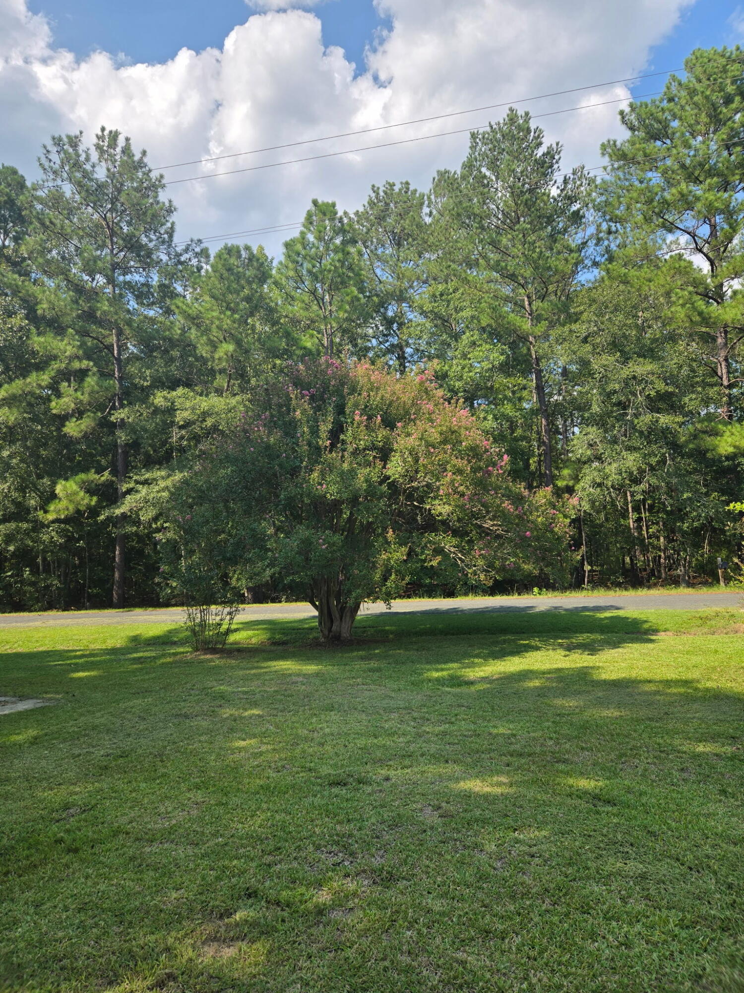 1081 Homestead Road St. Stephen, SC 29479 - Photo 13 of 14 IMG_20260826_210405 (2)