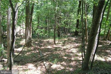 Swover Creek Road Edinburg, VA 22824 - Photo 2 of 7 Gallery Image 2