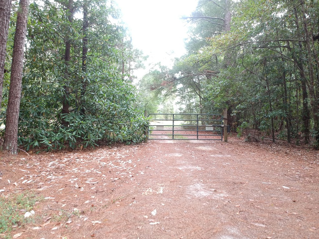 1539 Reynolds Pond Road Aiken, SC 29805 - Photo 21 of 27 Gallery Image 21