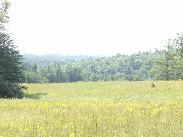 $55,000 | 243 A Mountain View Drive, Unit 20, Deer Lodge, TN 37726