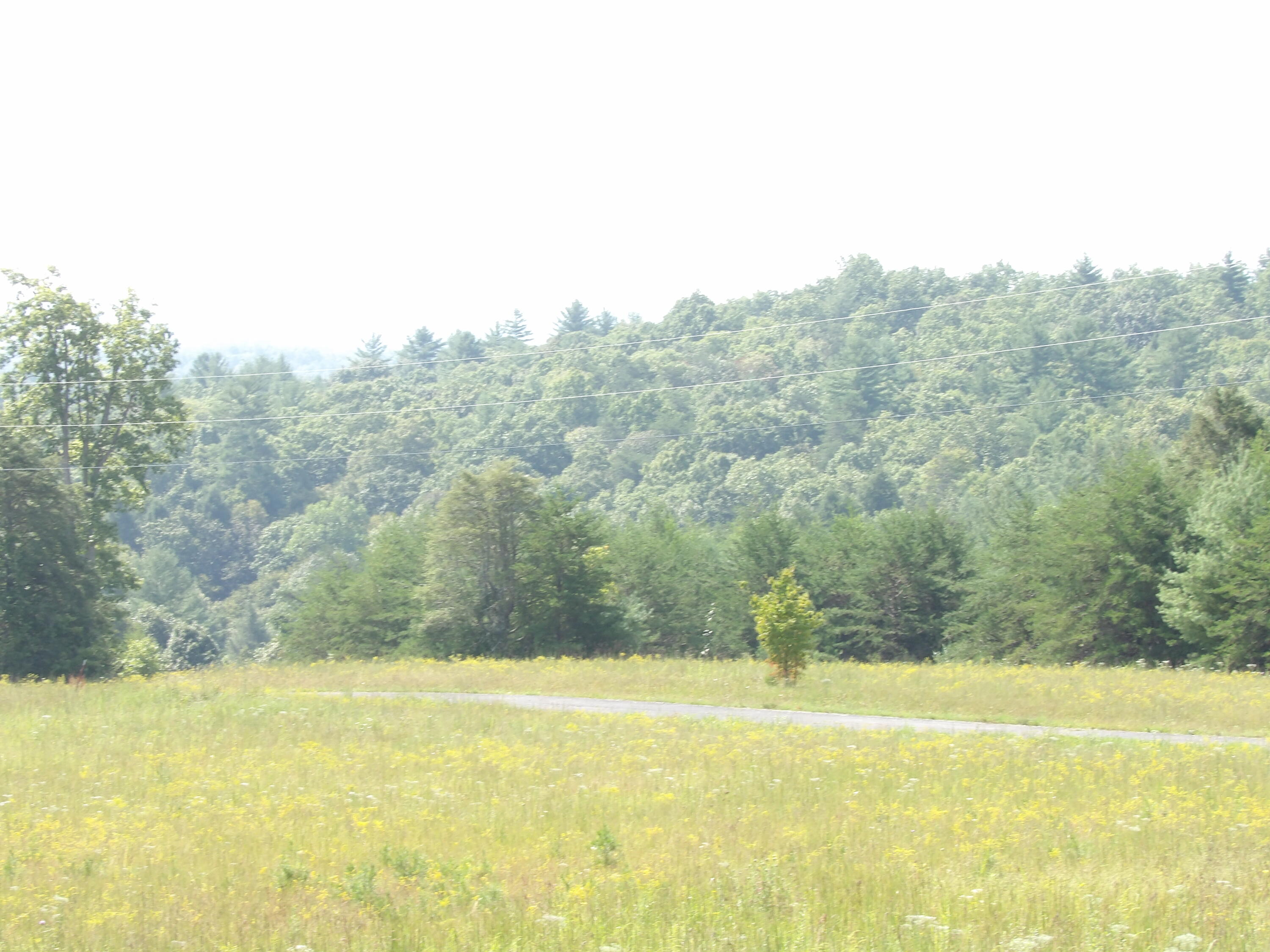 0 Mountain View Drive, Unit 20 Deer Lodge, TN 37726 - Photo 11 of 19 100_0796