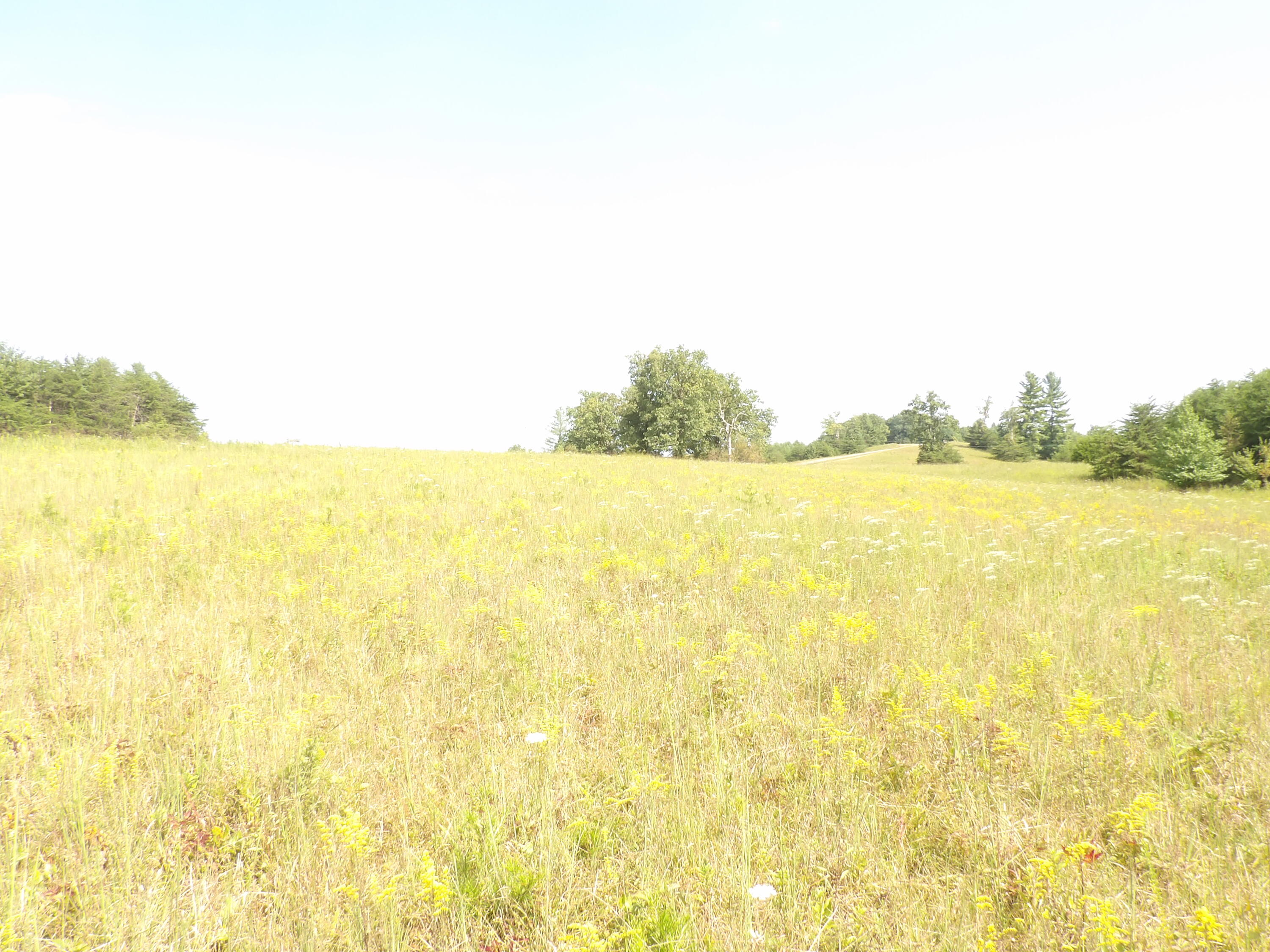 0 Mountain View Drive, Unit 20 Deer Lodge, TN 37726 - Photo 12 of 19 100_0797