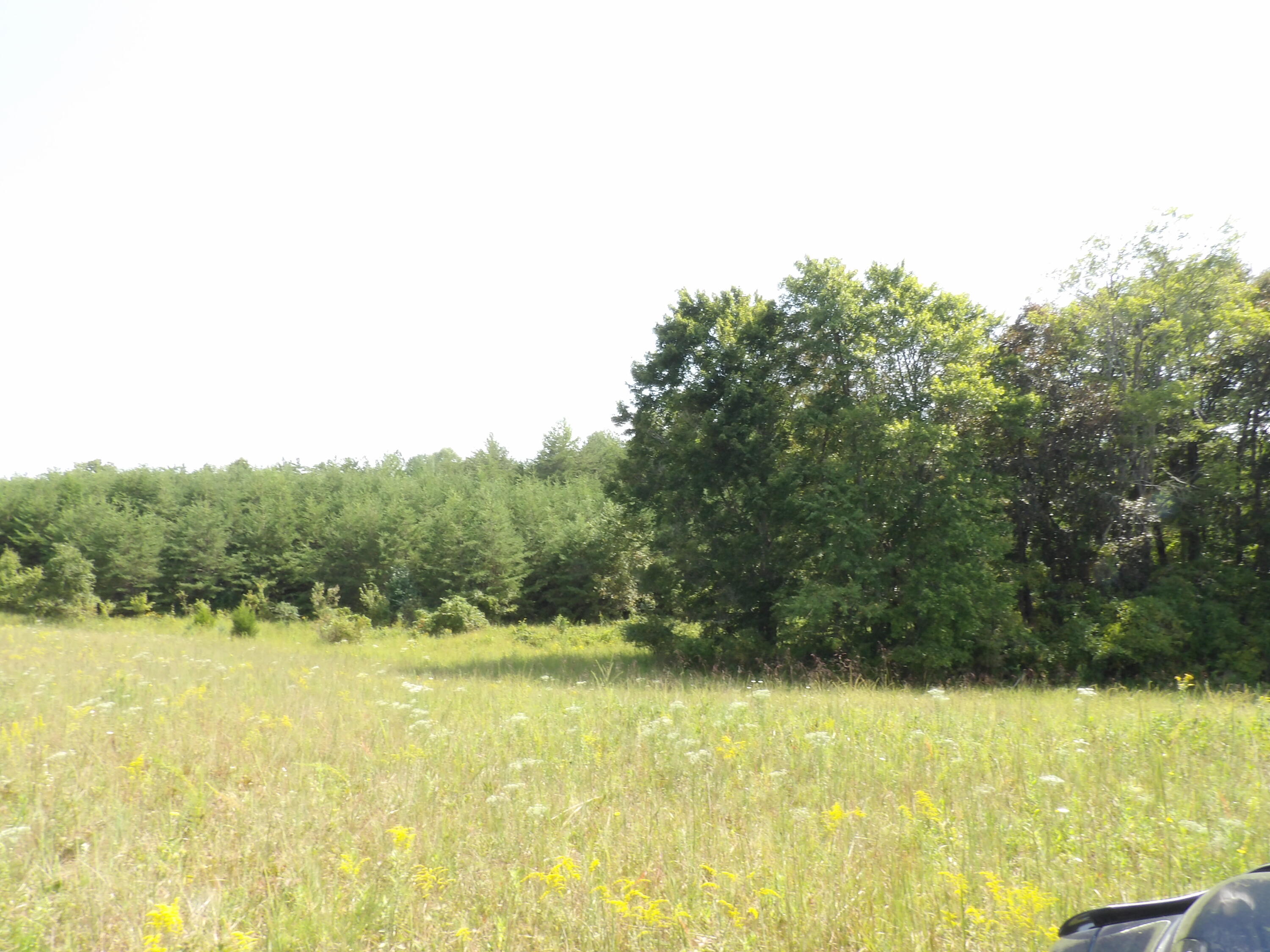 0 Mountain View Drive, Unit 20 Deer Lodge, TN 37726 - Photo 14 of 19 100_0799