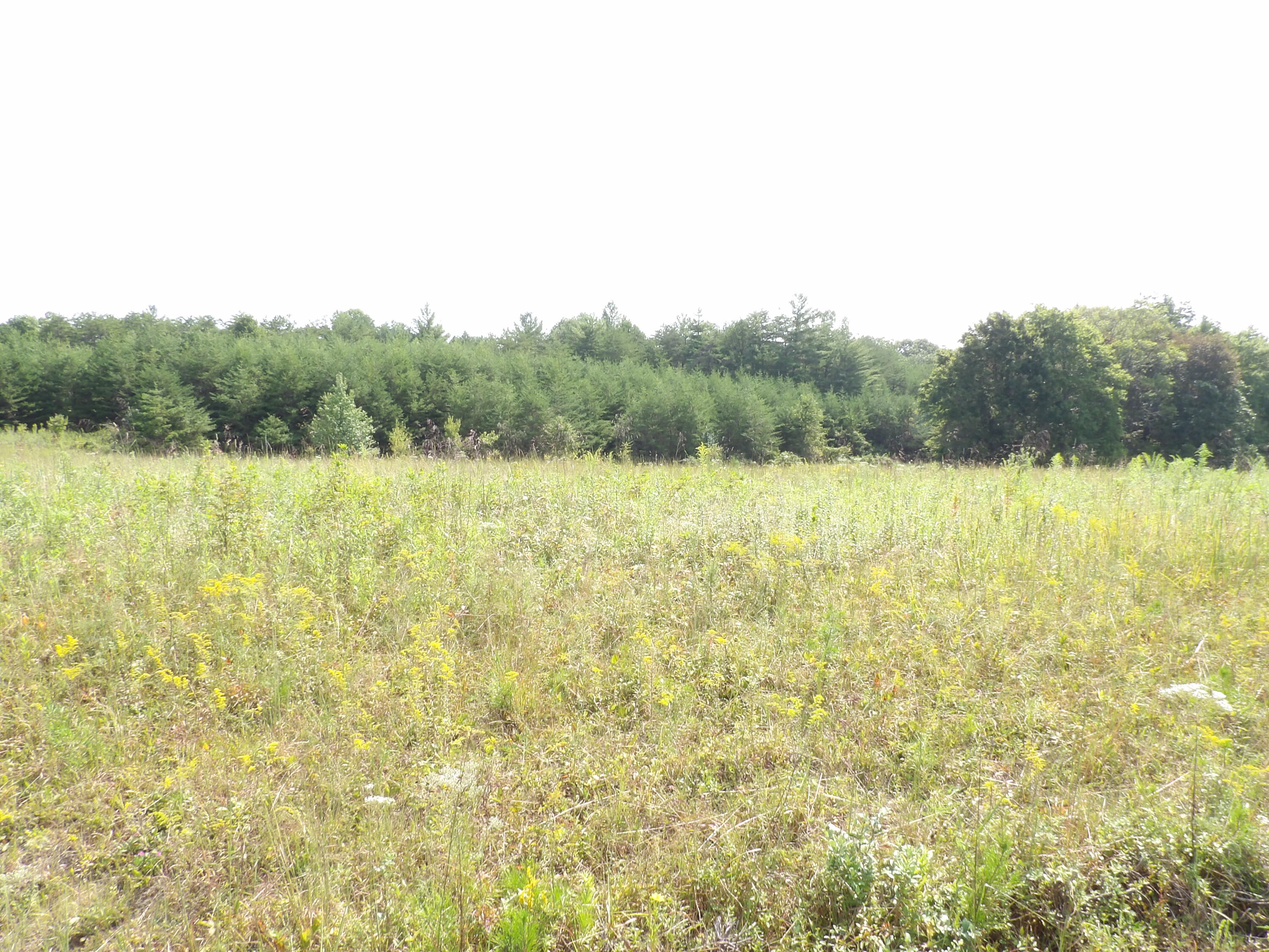 0 Mountain View Drive, Unit 20 Deer Lodge, TN 37726 - Photo 15 of 19 100_0808