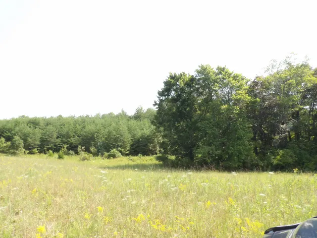 $55,000 | 243 A Mountain View Drive, Unit 20, Deer Lodge, TN 37726