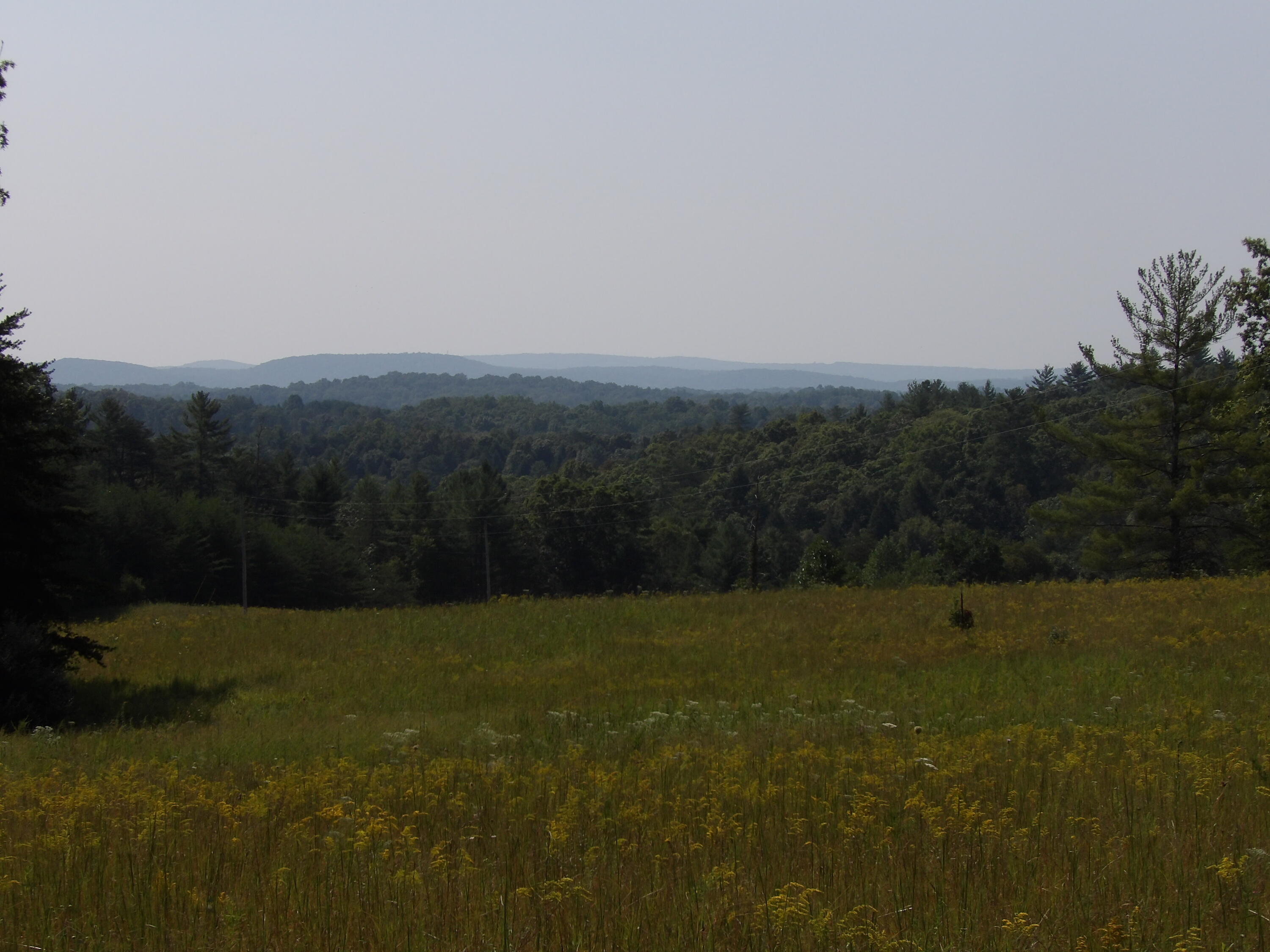 243 A Mountain View Drive, Unit 20 Deer Lodge, TN 37726 - Photo 2 of 19 100_0769