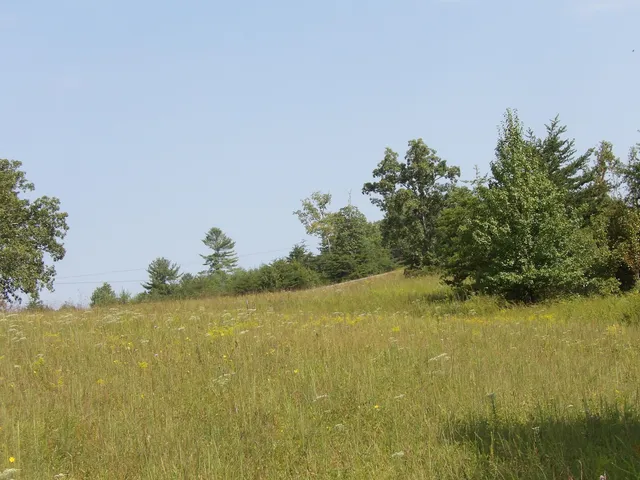 $55,000 | 243 A Mountain View Drive, Unit 20, Deer Lodge, TN 37726