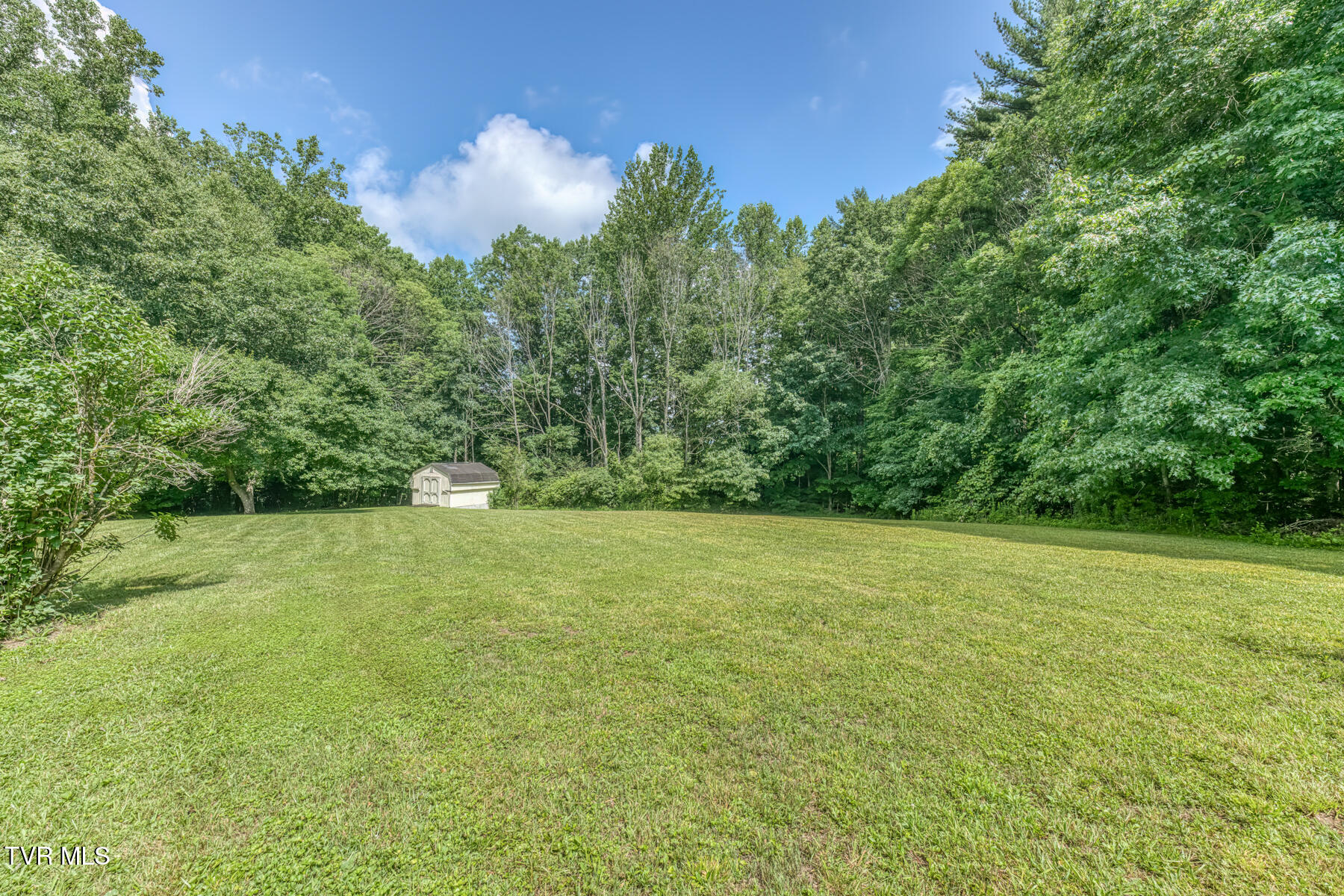 1678 Sluder Road Shady Valley, TN 37688 - Photo 63 of 110 1678 Sluder Rd-63