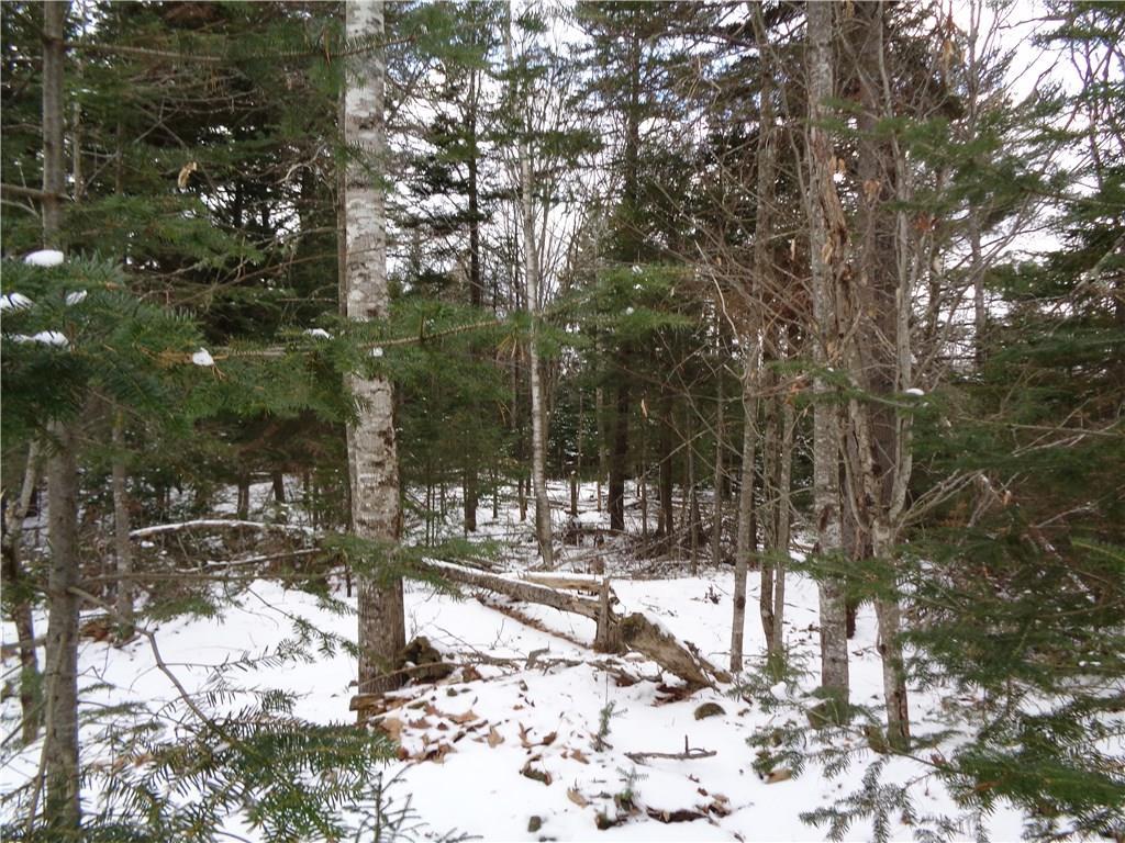 64-1 Upper Dedham Road Dedham, ME 04429 - Photo 7 of 8 Photo