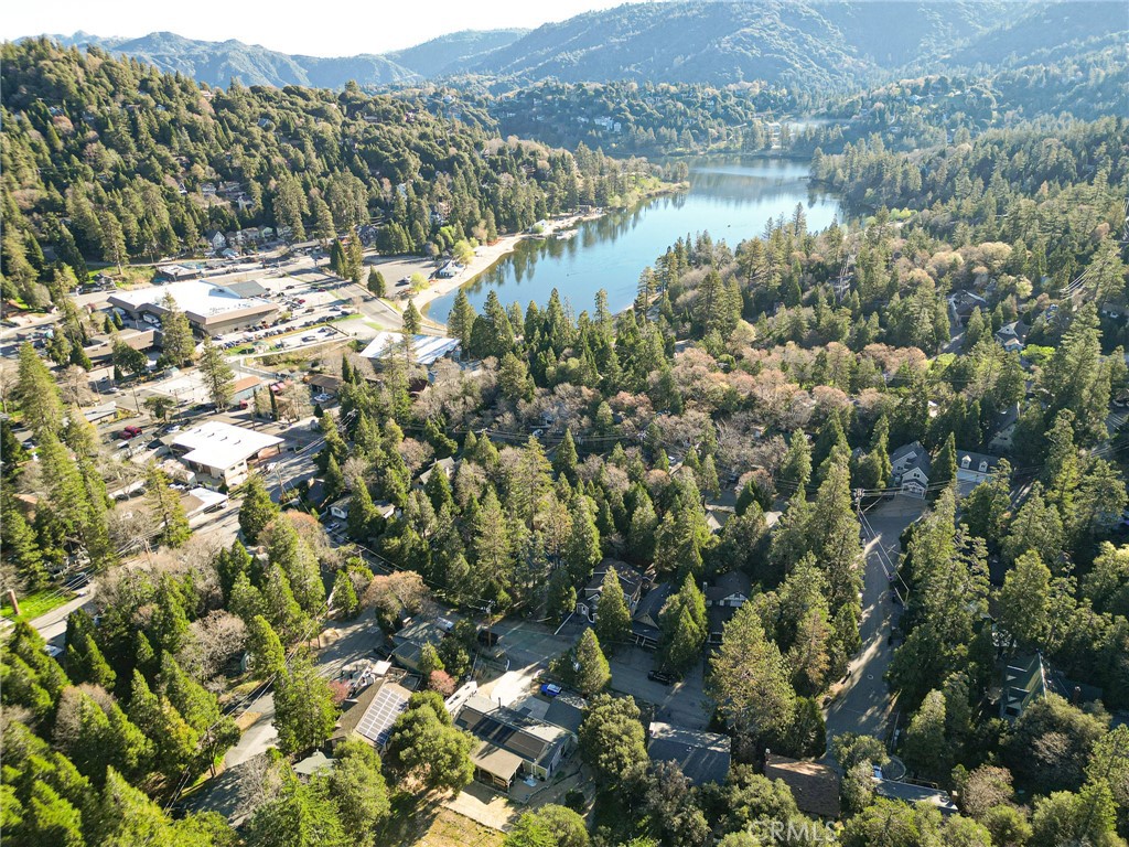 720 Rocky Loop Crestline, CA 92325 - Photo 47 of 48