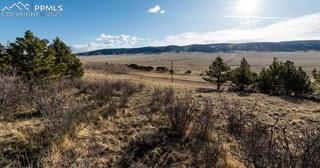 3503 Redhill Road Fairplay, CO 80440 - Photo 6 of 14