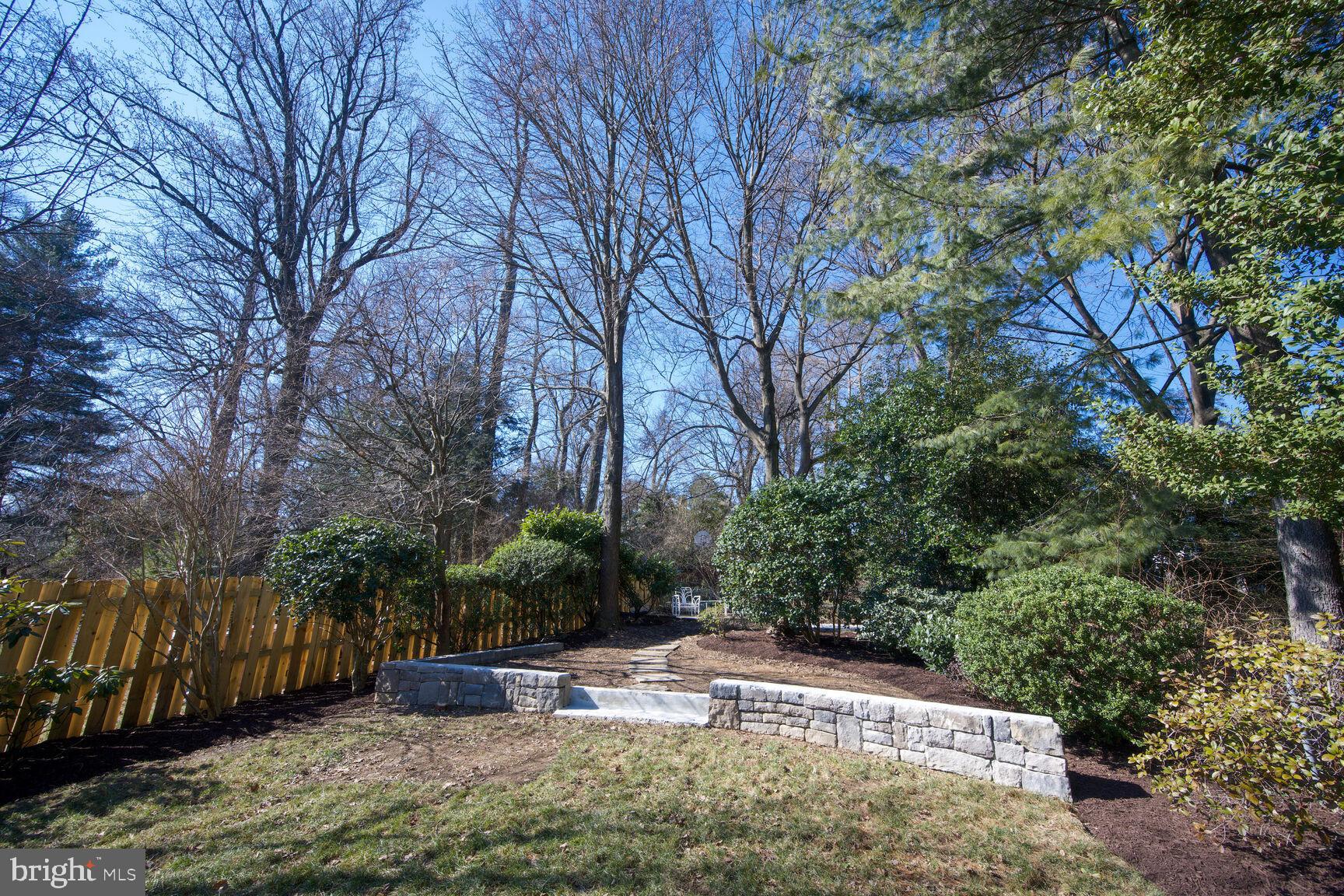315 Ellsworth Drive Silver Spring, MD 20910 - Photo 38 of 49 Space in the back yard for a shed