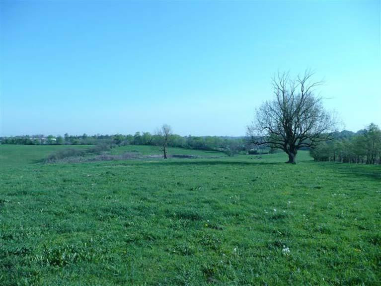 912 Shannon Run Road Versailles, KY 40383 - Photo 18 of 22 Photo 18