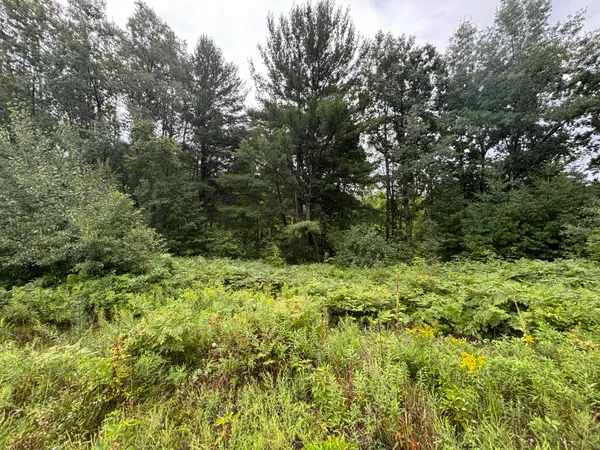$195,000 | 22475 4 Mile Road, Morley, MI 49336