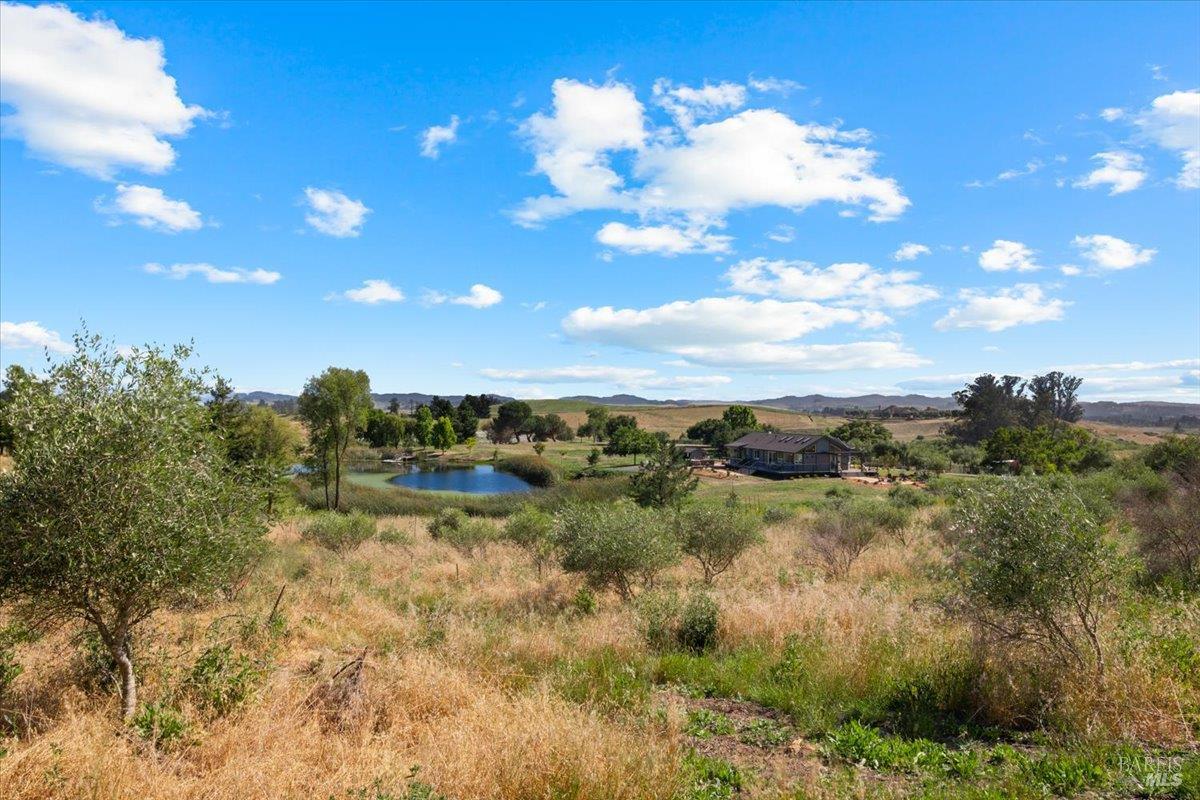 2315 Mountain Ranch Road Petaluma, CA 94954 - Photo 73 of 89