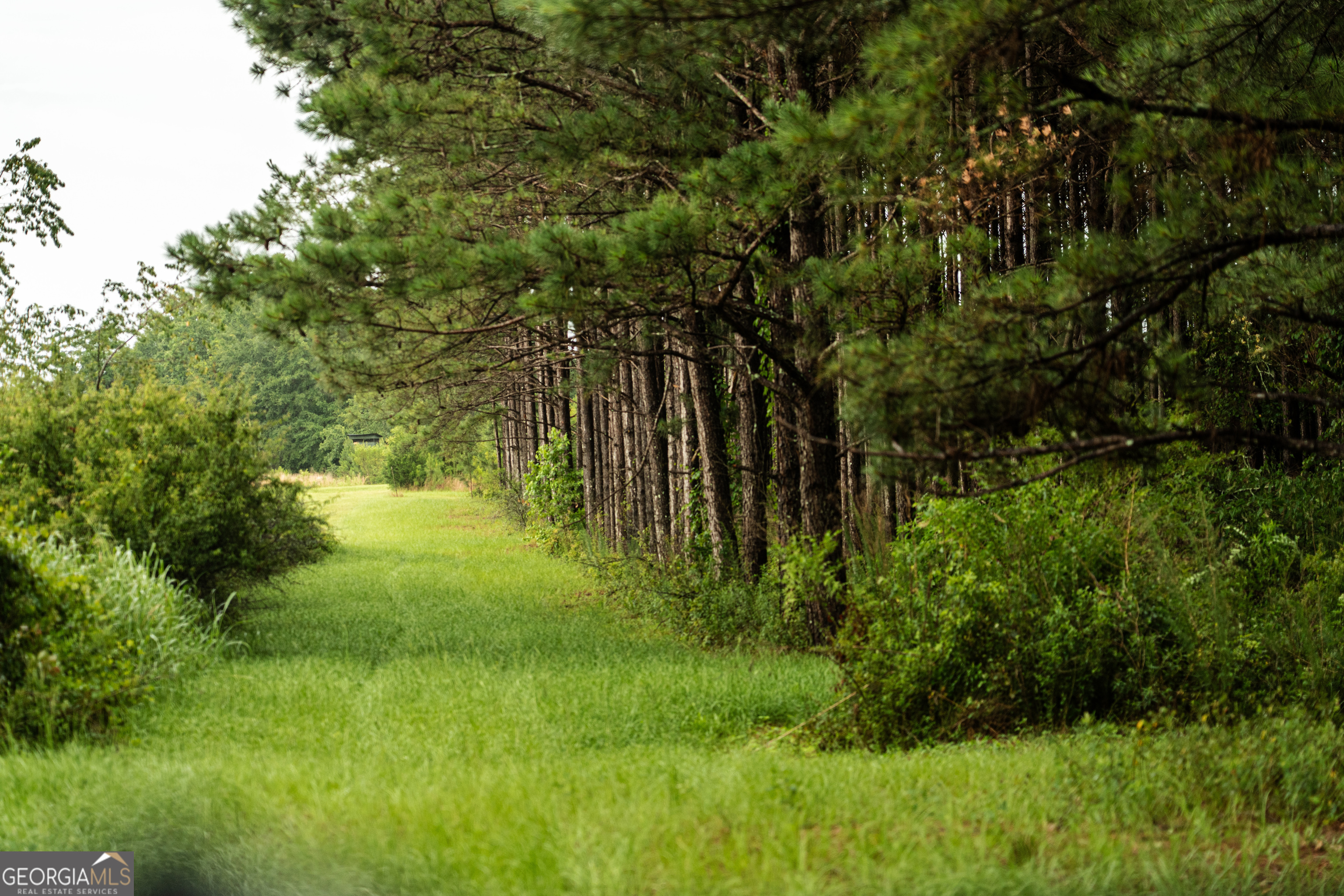 990 Highway 49 Americus, GA 31719 - Photo 90 of 121