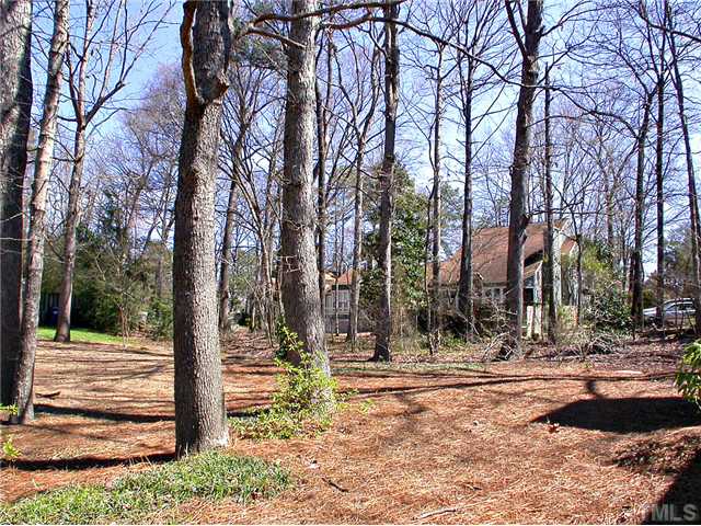 1515 Laureldale Drive Raleigh, NC 27609 - Photo 16 of 25 a view of a yard with snow on the road