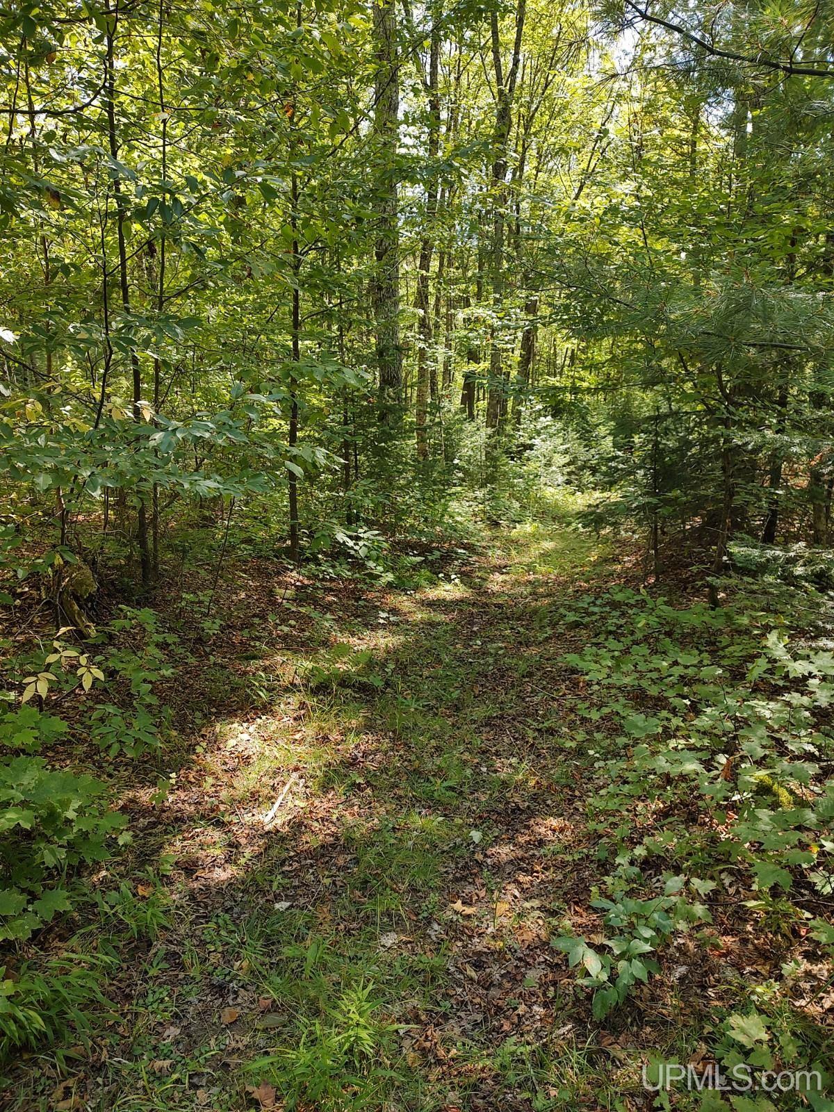 7445 Herman-nestoria Road Lanse, MI 49946 - Photo 45 of 80 Gallery Image 45