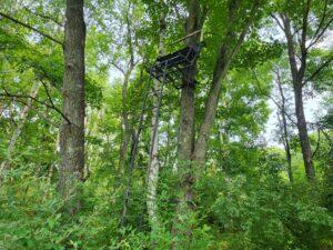 100 West Adams Road Farwell, MI 48622 - Photo 45 of 48
