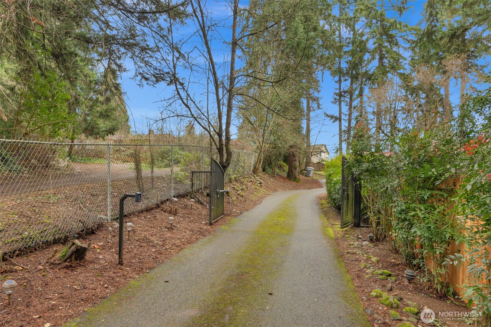 23619 5th Avenue West Bothell, WA 98021 - Photo 29 of 31 a view of a yard with trees