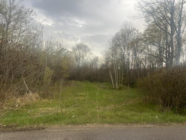 Memory Lane, Unit 1 Wabeno, WI 54566 - Photo 3 of 4