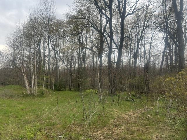Memory Lane, Unit 1 Wabeno, WI 54566 - Photo 4 of 4