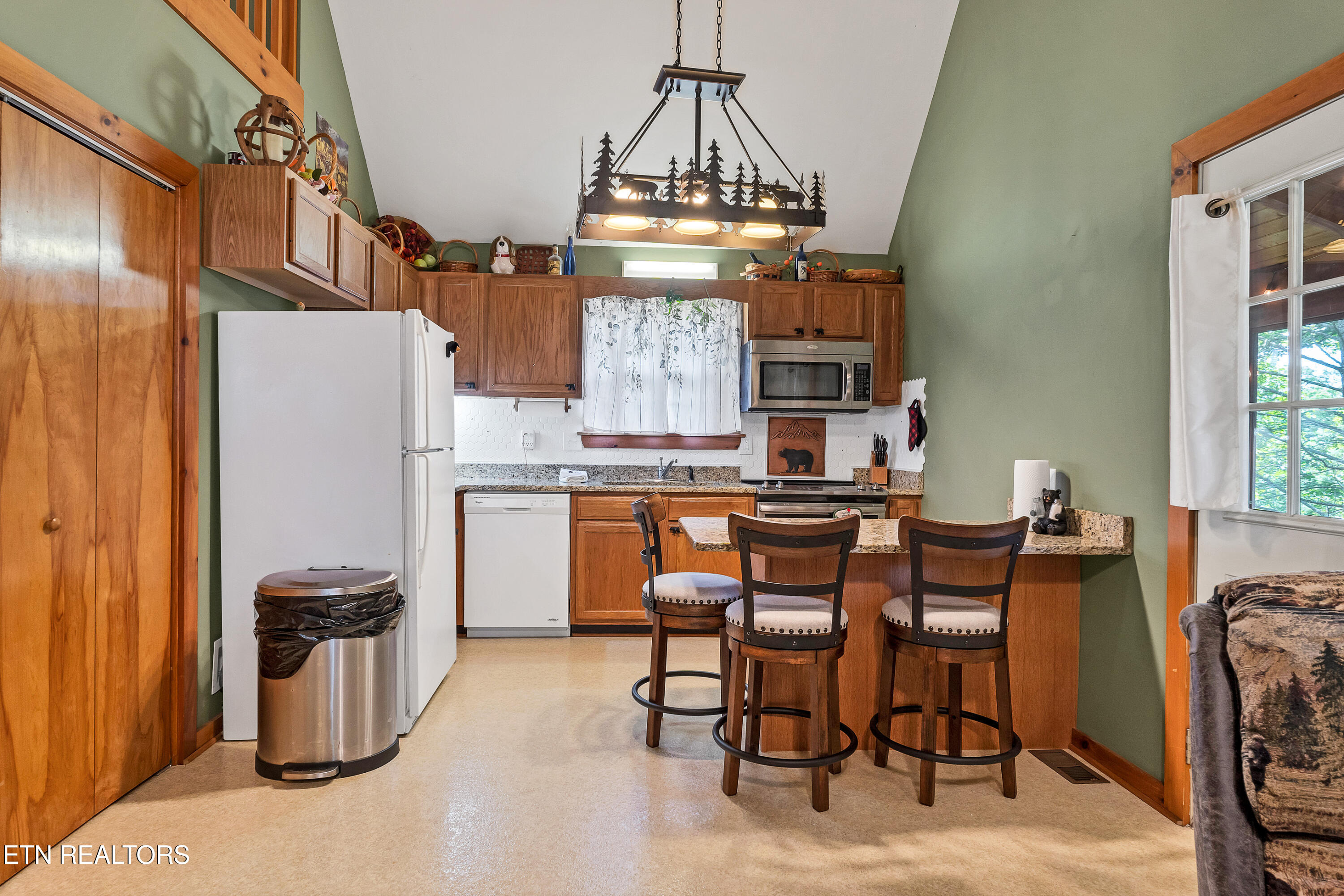 233 Ace Gap Road Townsend, TN 37882 - Photo 6 of 38 DSC09476