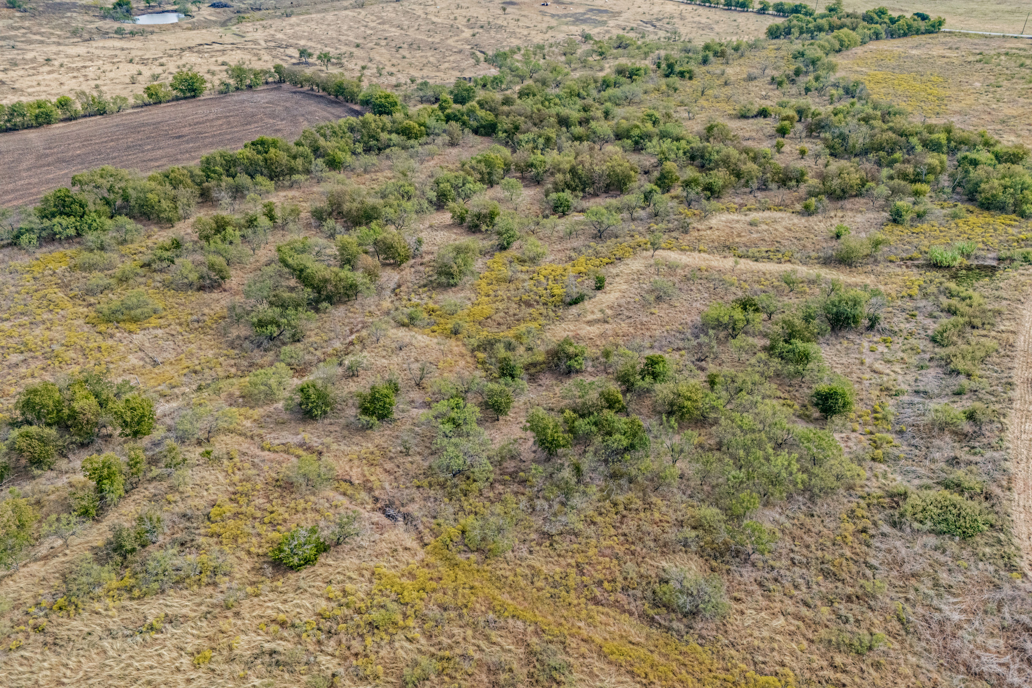 108710 Asa Road Temple, TX 76504 - Photo 18 of 18 a view of a dry yard with green space