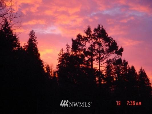 19420 Maxwell Road Southeast Maple Valley, WA 98038 - Photo 4 of 5