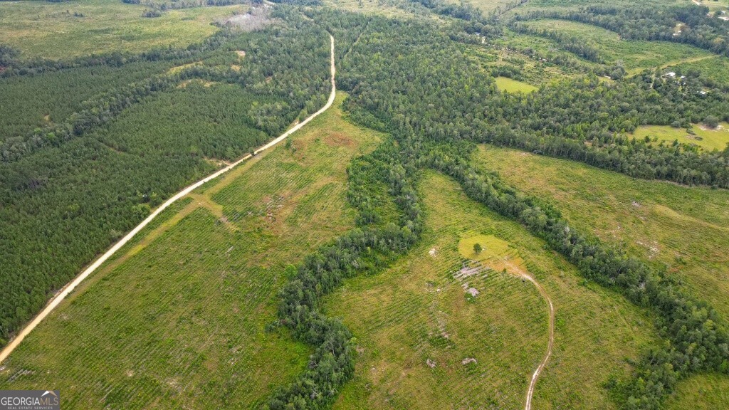 0 John S Horton Road, Unit TRACT 1 Adrian, GA 31002 - Photo 1 of 1