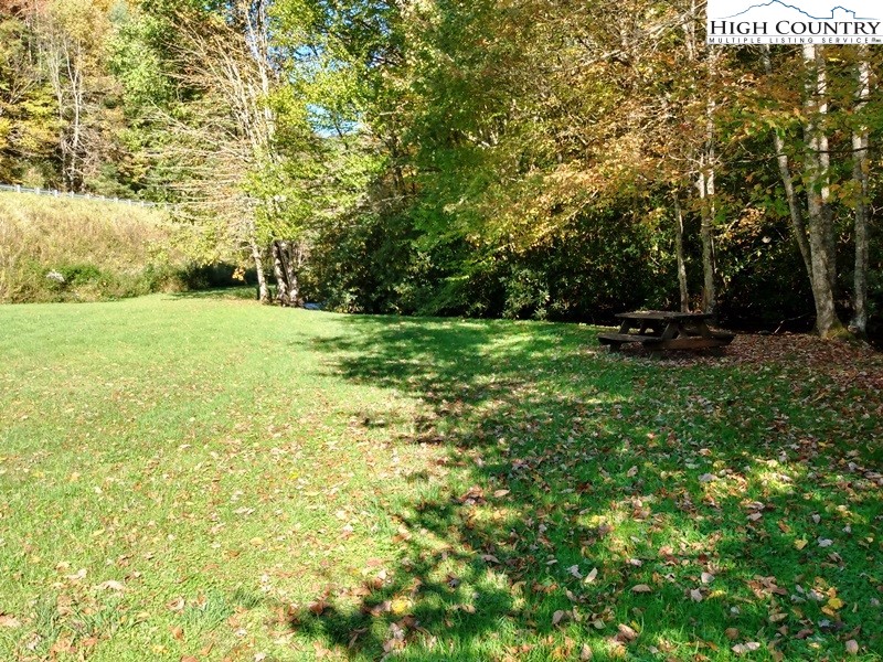 1655 Tucker Road Lansing, NC 28643 - Photo 11 of 15 a view of a field with trees