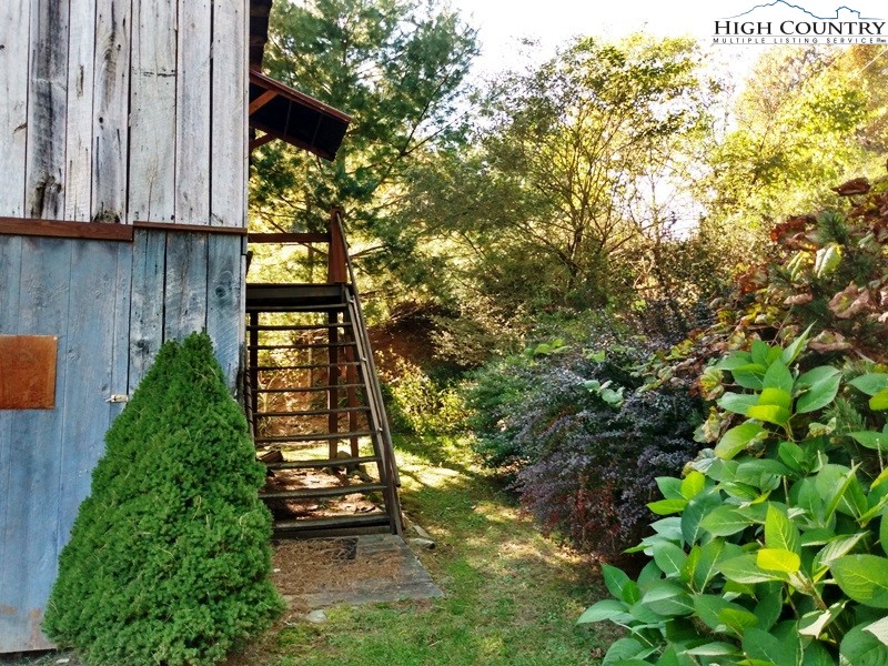 1655 Tucker Road Lansing, NC 28643 - Photo 13 of 15 a view of a yard with plants
