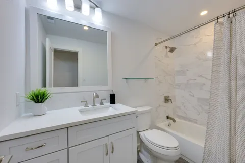 a bathroom with a sink a mirror a potted plant a toilet and a shower