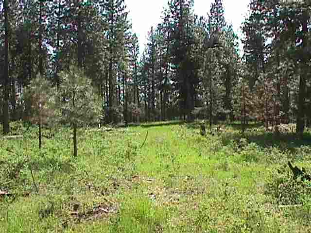 0 Vista Court Colbert, WA 99005 - Photo 3 of 8