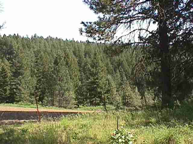 0 Vista Court Colbert, WA 99005 - Photo 4 of 8