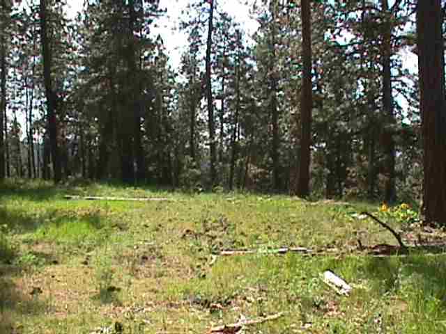 0 Vista Court Colbert, WA 99005 - Photo 5 of 8