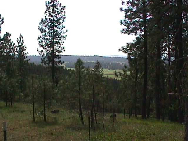 0 Vista Court Colbert, WA 99005 - Photo 6 of 8