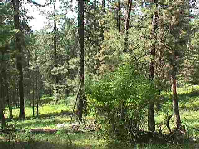0 Vista Court Colbert, WA 99005 - Photo 7 of 8