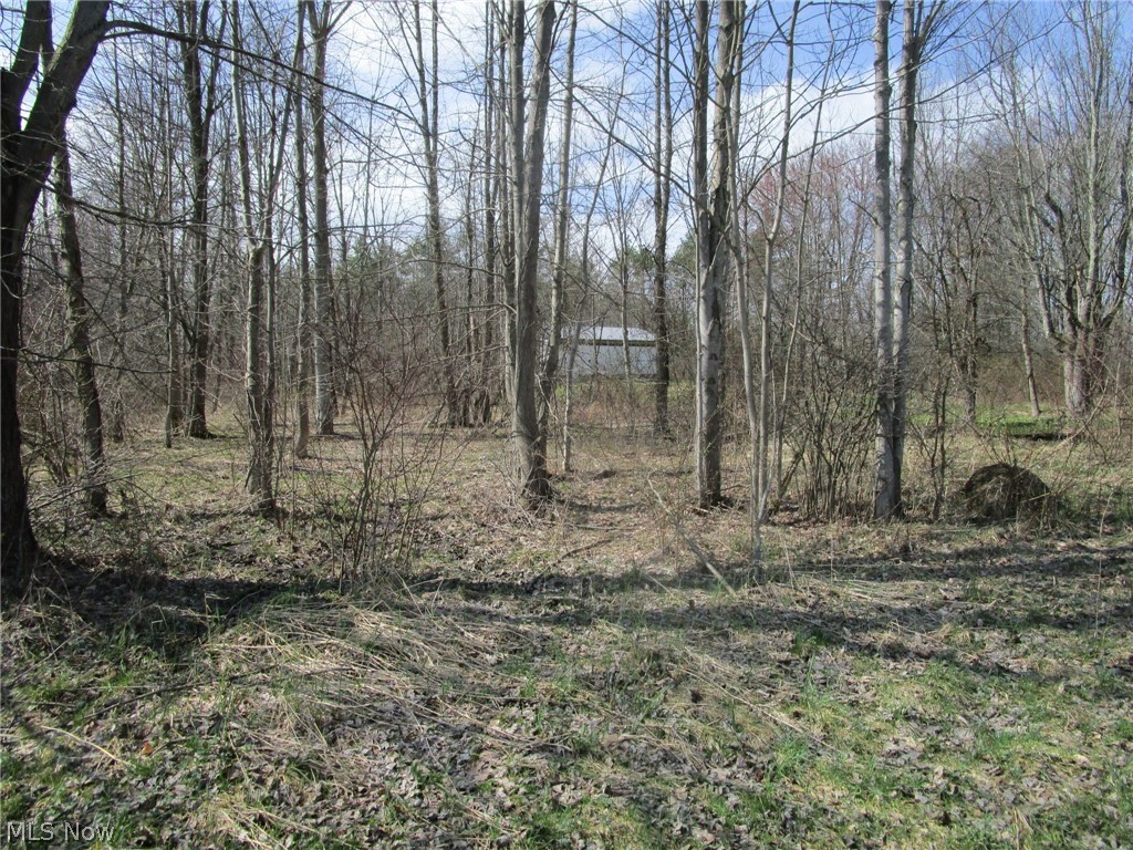 4381 Higley Road Rome, OH 44085 - Photo 40 of 41