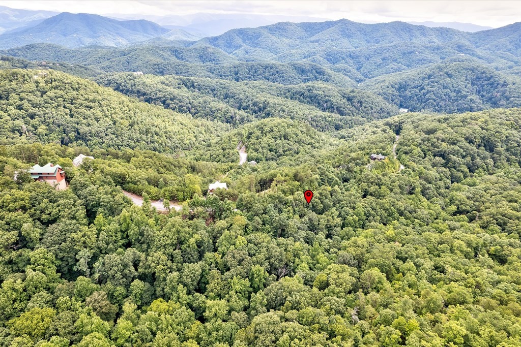 64 Redtail Road Sevierville, TN 37862 - Photo 21 of 29 Gallery Image 21