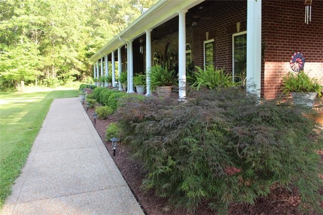 236 Raymond Hodges Road Cottontown, TN 37048 - Photo 36 of 37 front view of a house with a yard and potted plants