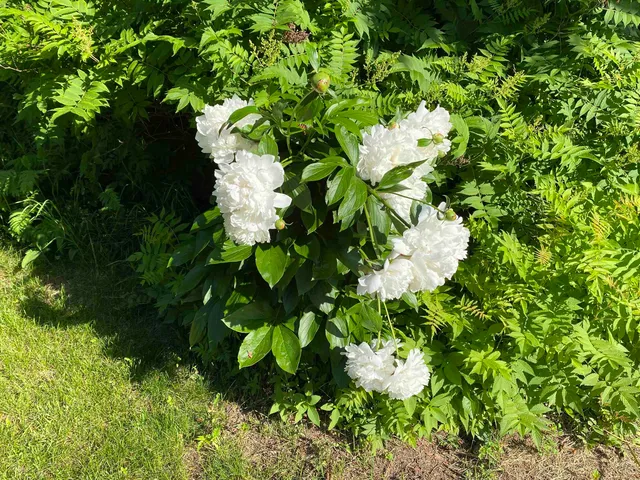 $1,776 | 6223 Petre Street, Duluth, MN 55807