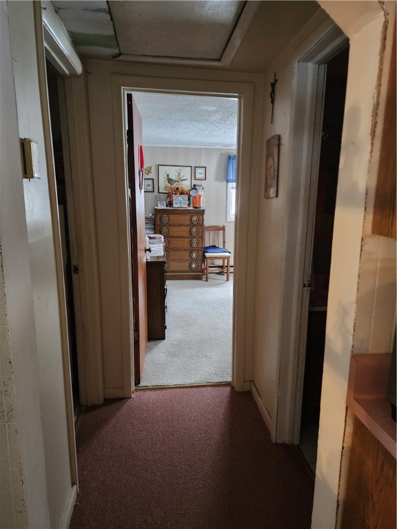 6683 Rayrene Drive Elbridge, NY 13080 - Photo 13 of 20