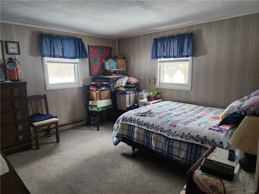 6683 Rayrene Drive Elbridge, NY 13080 - Photo 15 of 20